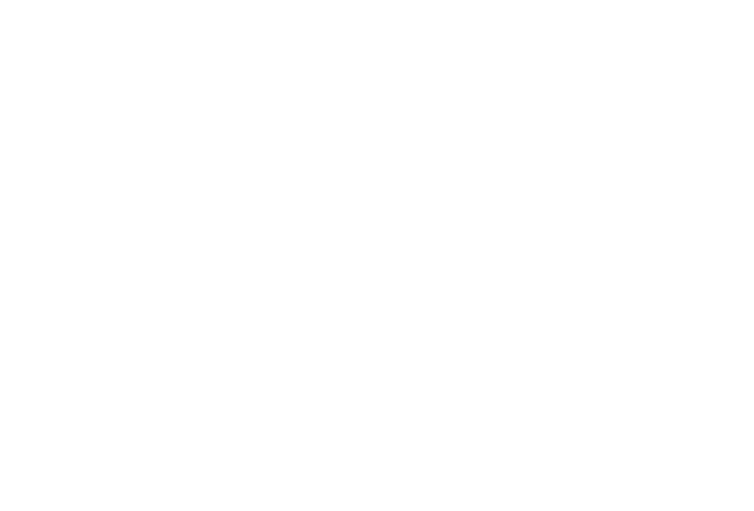 247 Virtual Solution LLC